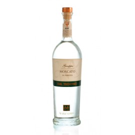 Distilleria Marzadro – Grappa Moscato in purezza